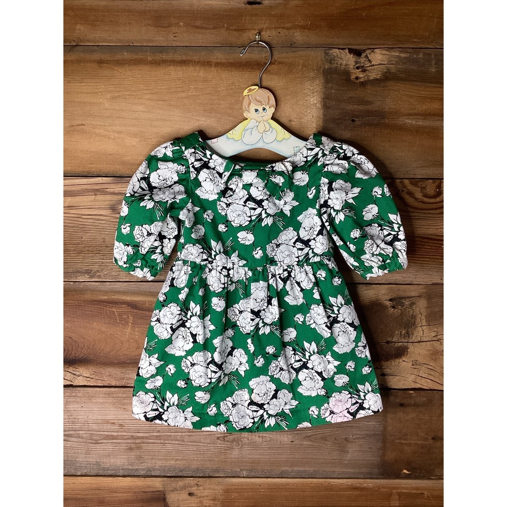 Janie and Jack Floral Dress Green Floral Puff Sleeve Pleated Lined Size 3